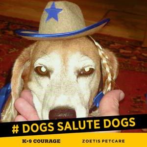 Meet your Posher, Vickie